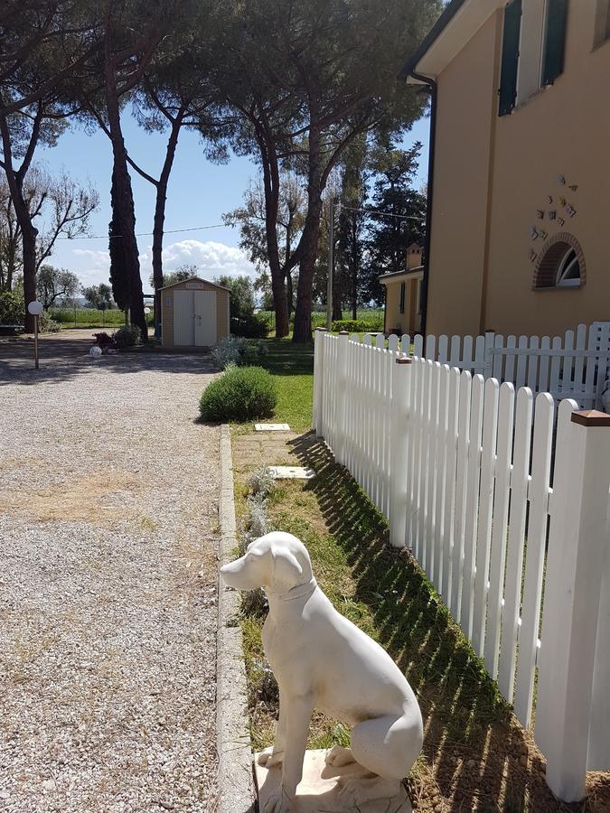 Casa Vacanze Vignarca - Localita Perelli Riotorto Dış mekan fotoğraf